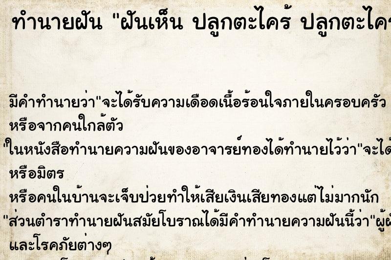 ทำนายฝันฝันเห็นปลูกตะไคร้ปลูกตะไคร้ ทำนายฝันทำนายฝันฝันเห็นปลูกตะไคร้ปลูกตะไคร้